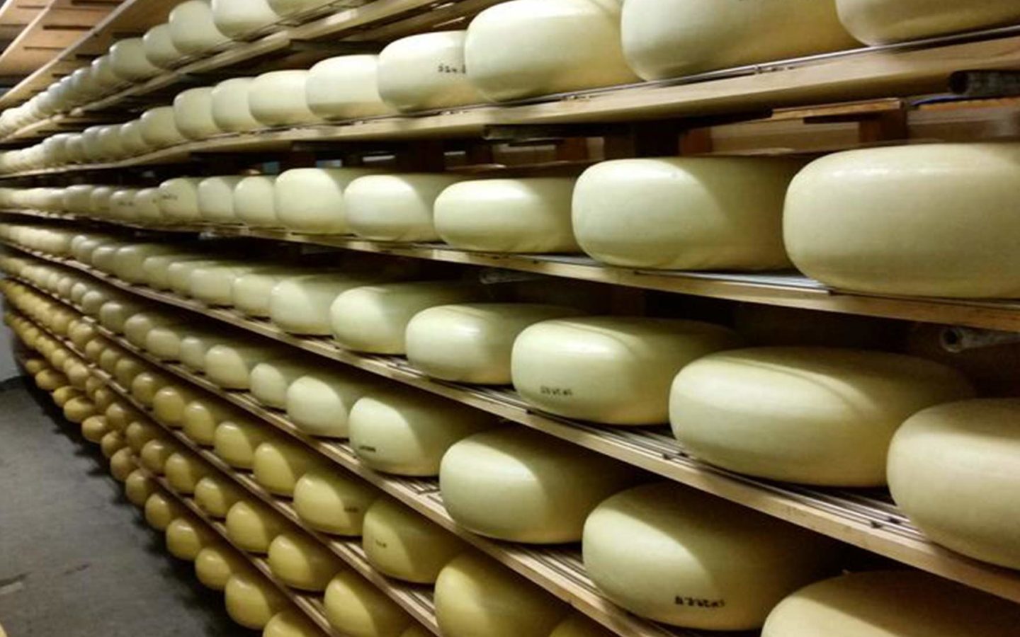 Celebrating 40 years of Mercer Cheese: 30 Jun 2021