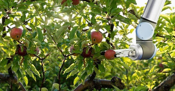 Innovation Mission from NL: 22 Nov 2024