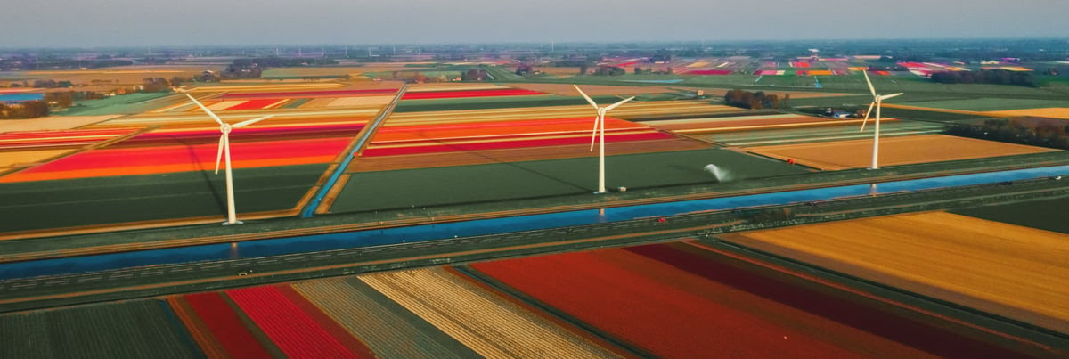 The New Zealand Initiative: 30 Apr 2025